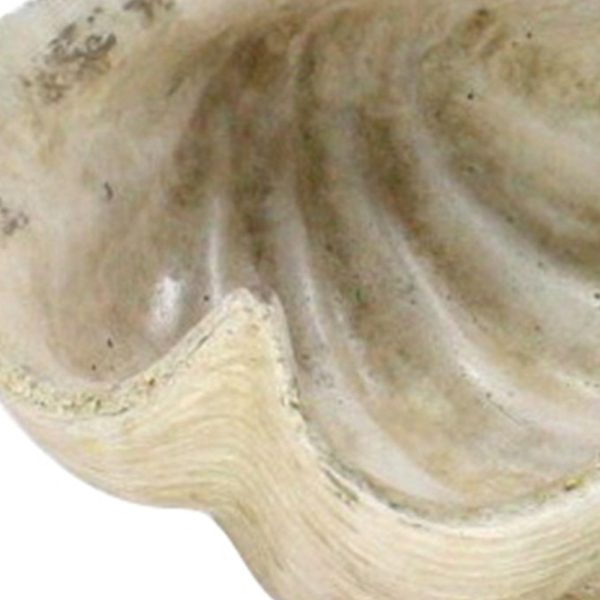 White Sea Shell Sculpture - Image 3