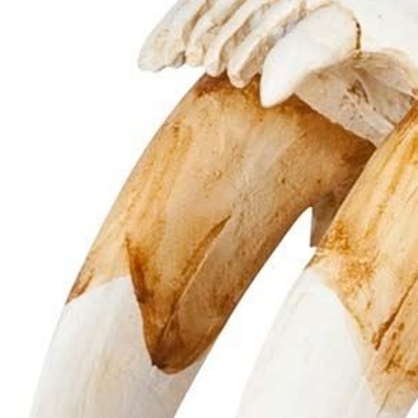 Authentic Replica Sabertooth Skull Sculpture - Image 3