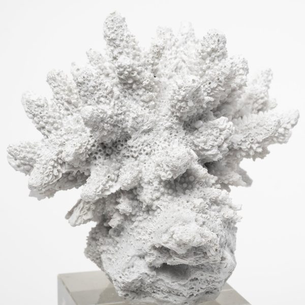 10" White Contempo Coral And Glass Sculpture - Image 3