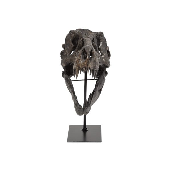 Brown Resin Tyrannosaurus Rex Skull Decor Piece - Image 3
