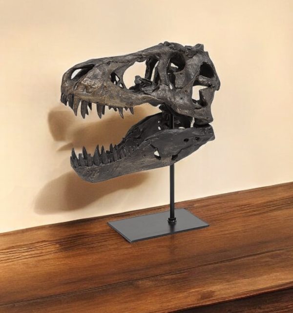 Brown Resin Tyrannosaurus Rex Skull Decor Piece