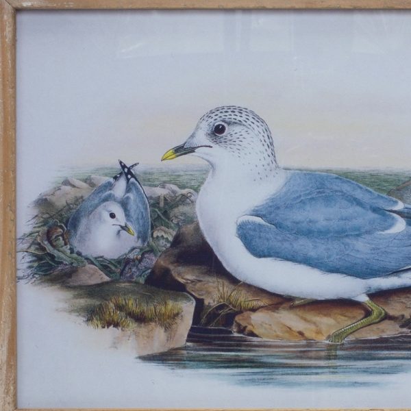 13" X 17" Natural and Blue Bird Solid Wood Framed Art - Image 3